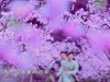 chinesepaladinop15