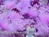 chinesepaladinop16