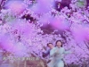 chinesepaladinop17