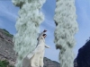 chinesepaladinop55